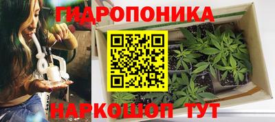 ГАЛЛЮЦИНОГЕННЫЕ ГРИБЫ Ликино-Дулёво